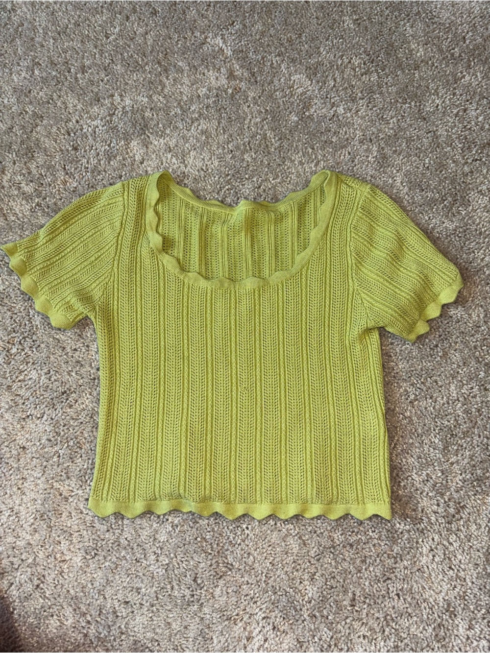 Lime Green Pointelle Knit Scallop Trim Short Sleeve Crop Top Blouse Small
